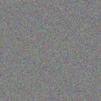 Lisa Hall celeste hill