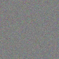 Lisa Johnson andries mashego