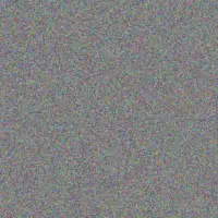 Lisa Johnson neo xaba