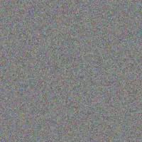 Lisa Johnson zandile nieuwoudt