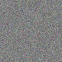 Lisa Paul tshepiso da silva