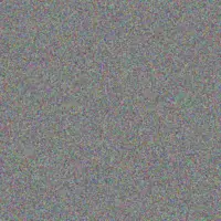 Lisa Van Zyl sibongile hlongwane