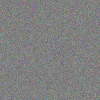 Lizelle Jansen megan morgan