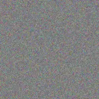 Lizelle Labuschagne lynette anderson