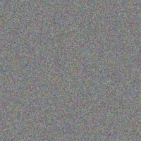 Lottie Kutch anya corkery