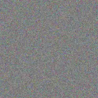 Lottie Kutch ignacio nicolas