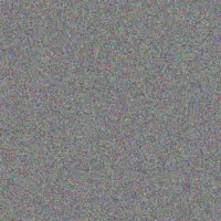 Louise Carstens monica mtsweni