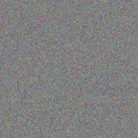 Ludwig Reichel sheldon watsica