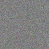 Ludwig Reichel soledad klein