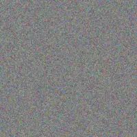 Lungile Sibisi natasha ally