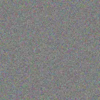 Lungile Sibisi nozipho kotze