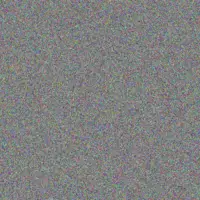 Lydia Sibanda rob radebe