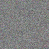 Lynette Chauke grant vermeulen