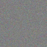 Lynette Chauke pierre solomons