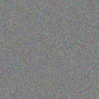 Maci Jacobs demond torp