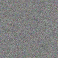 Maci Jacobs dina harris