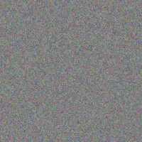 Maci Jacobs virgie larkin