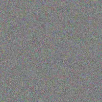 Madie Abbott sophie denesik