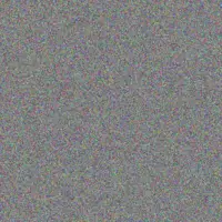 Madie Abbott tracey blanda