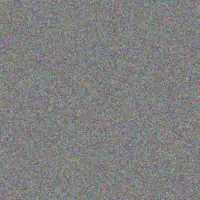 Madonna O'Connell shayne denesik