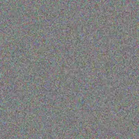 Marc Details warren buys