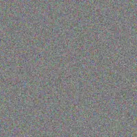 Marcelino Hamill joana boyle