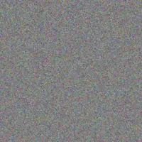 Marco Cole hillard carroll