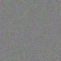 Marco Cole reva padberg