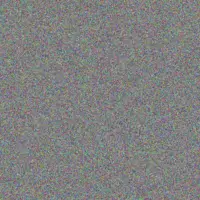 Marco Visser stefan ntshangase