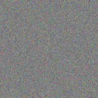 Margarett Lang giovanna predovic