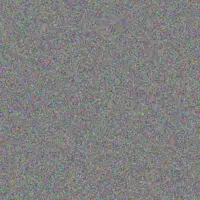 Maria Price anthony gray