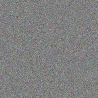 Mariana Lesch precious jones