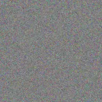 Maritza Carroll petra lueilwitz