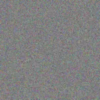 Marlene Govender chantelle morgan