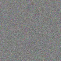 Martin Van Dyk julia vilakazi