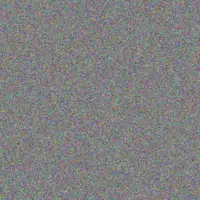 Mary Morris amelia baker