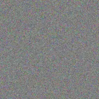 Miller Dach carole gutkowski