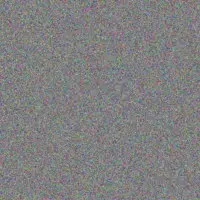 Miller Dach gabe wolff