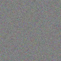 Miller Dach karson walsh