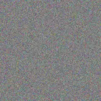 Miss David fatima roos