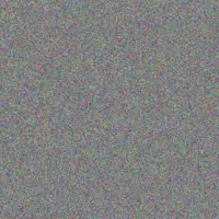 Miss David henry van vuuren