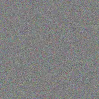 Mittie Haley cody armstrong