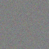 Mittie Haley xavier jerde