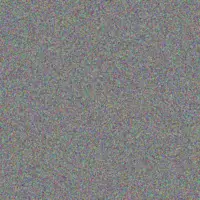 Monica Prosacco amely auer