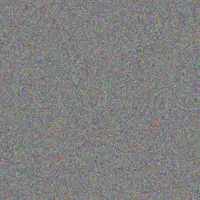 Mose Kris virginie bode