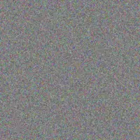 Moses Prinsloo andrea chetty