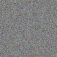 Musa Maree petrus andrews