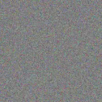 Musa Petersen juanita dreyer