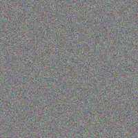 Musa Petersen kyle jackson