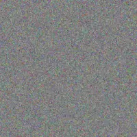 Myrna Bartoletti carolina parker